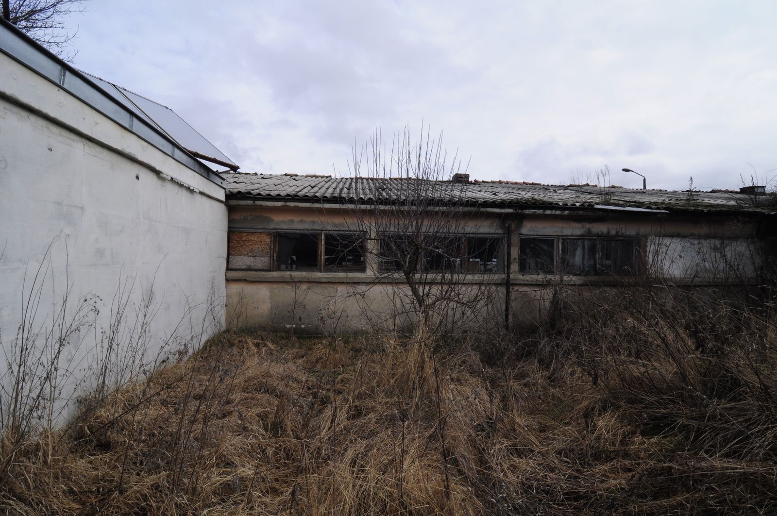 Industrial building - woodworking/carpentry shop, old cow barns - former collective farm from the socialist regime - Photo 61