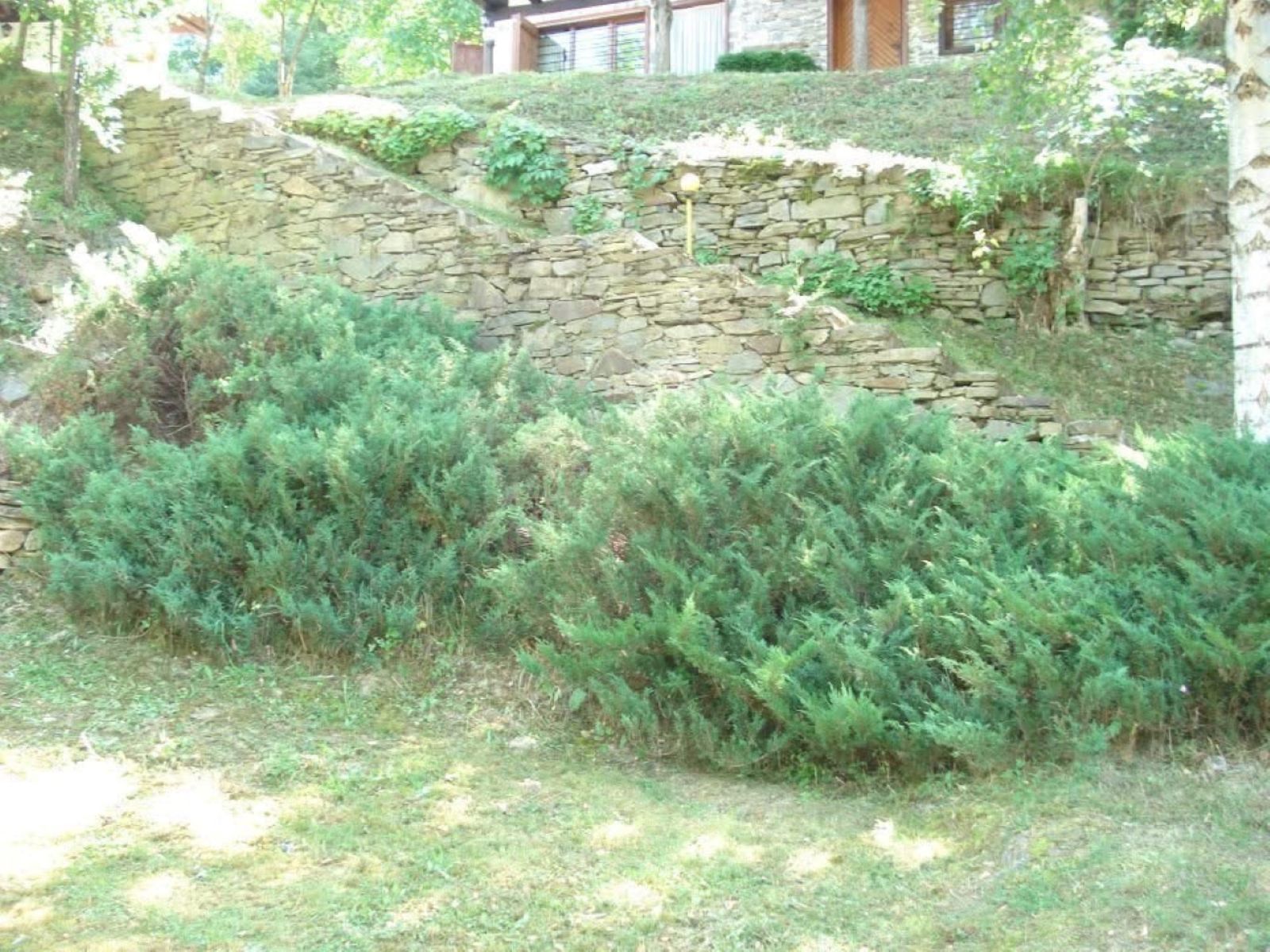 Old Marko's House Park and Lounge - Photo 27