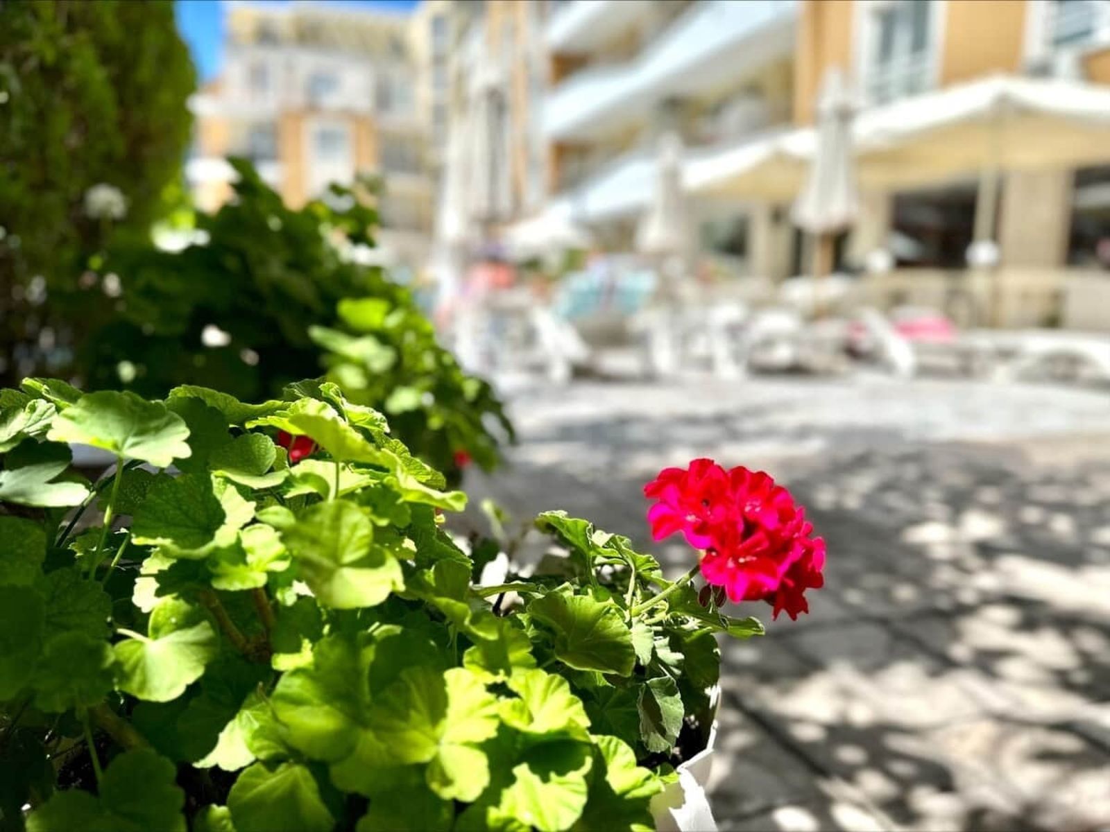 Cozy - Blue Marine - big 2-bedroom for 5 people - Photo 61