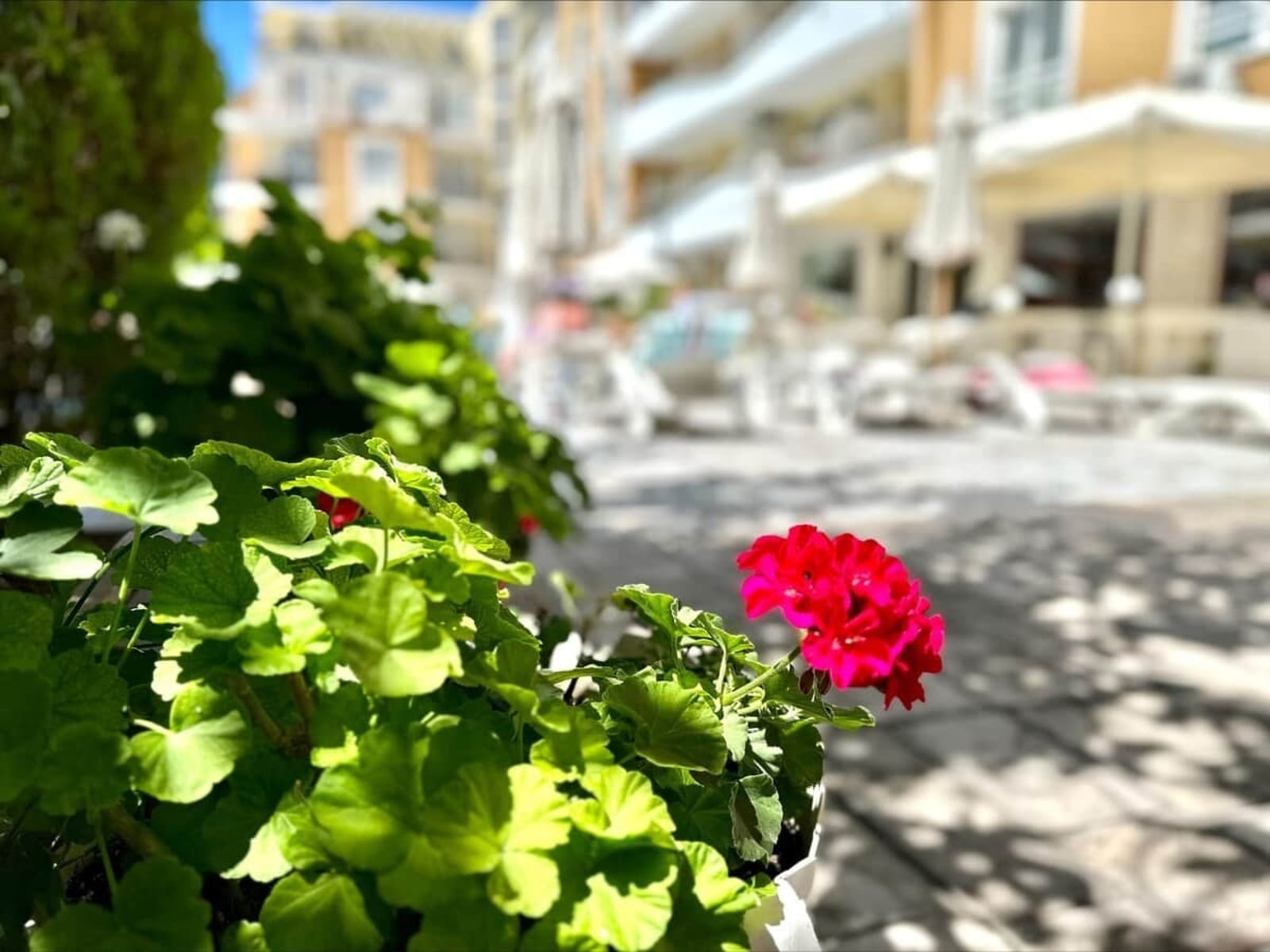 Cozy - Blue Marine - big 2-bedroom for 5 people - Photo 61