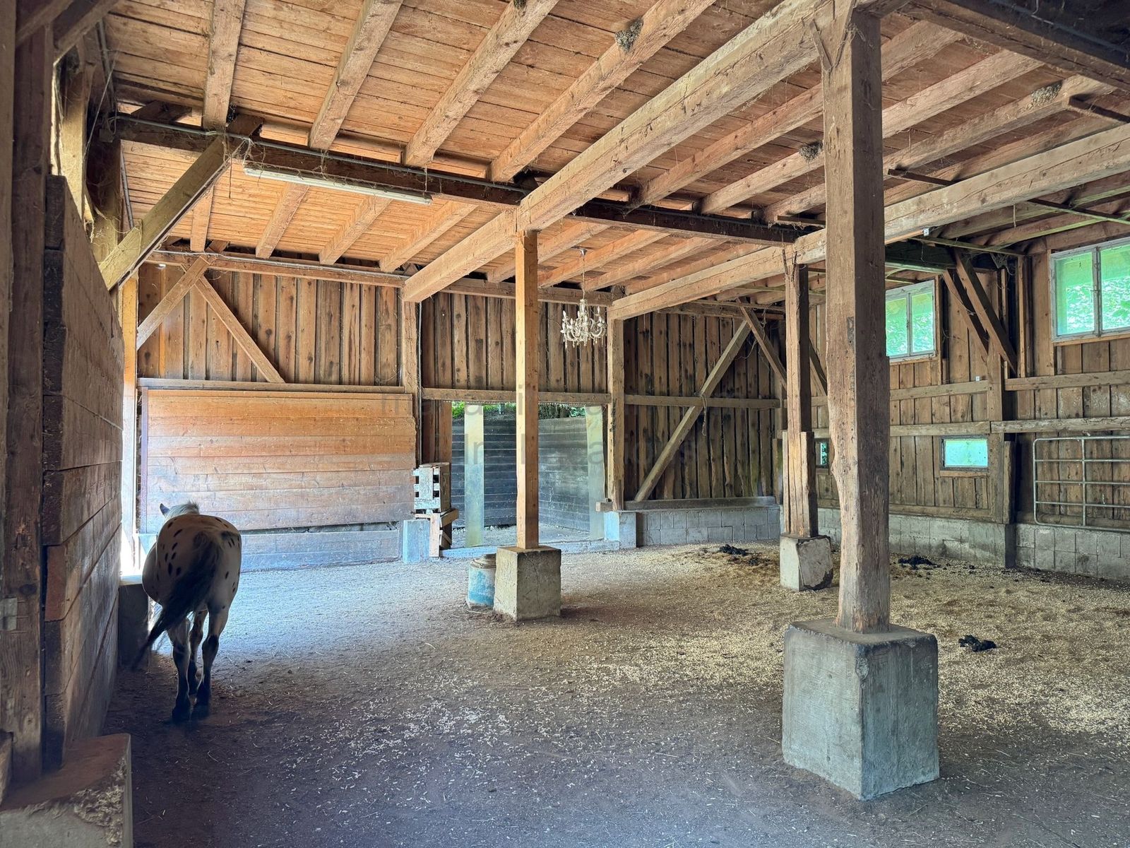 Location 502 - Photo 8