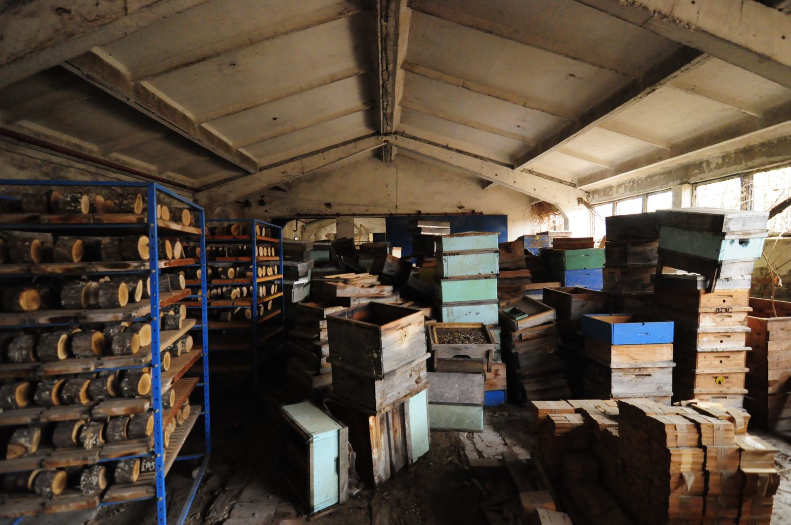 Industrial building - woodworking/carpentry shop, old cow barns - former collective farm from the socialist regime - Photo 51