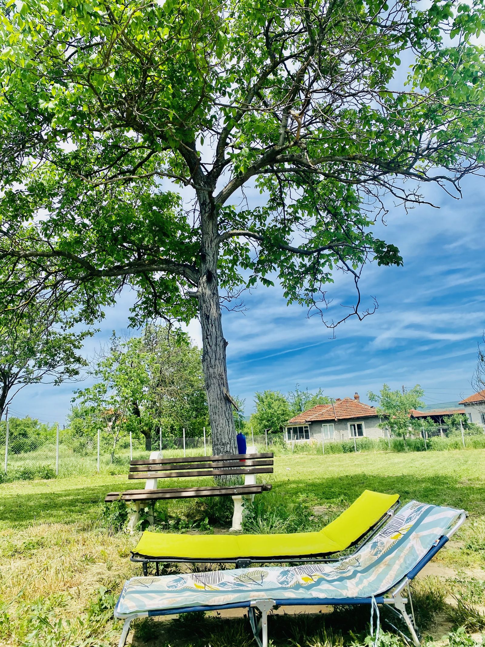 The Happy Caravans - Photo 15