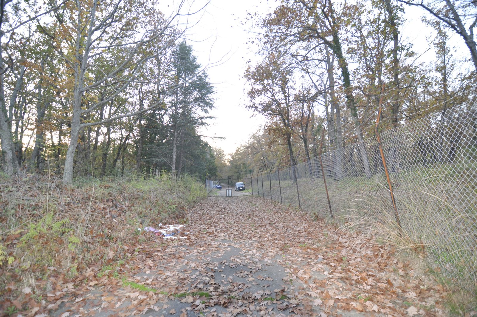 The Ghost Residence - Photo 129