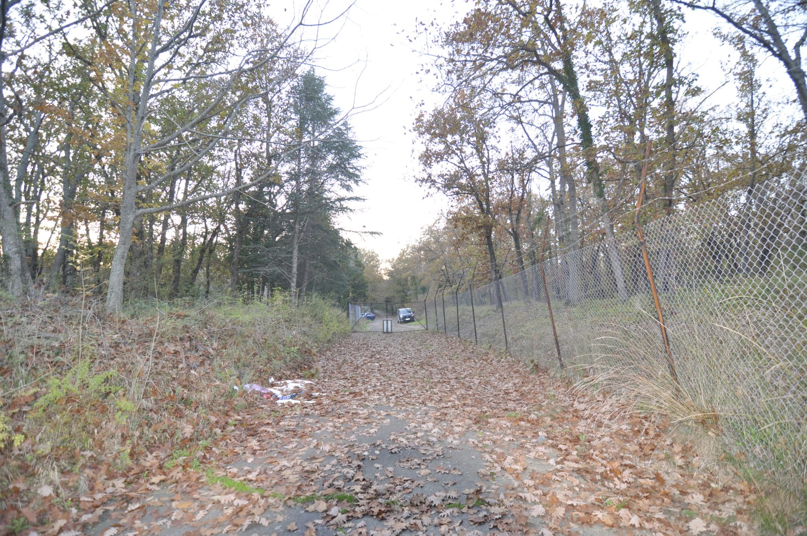 The Ghost Residence - Photo 129