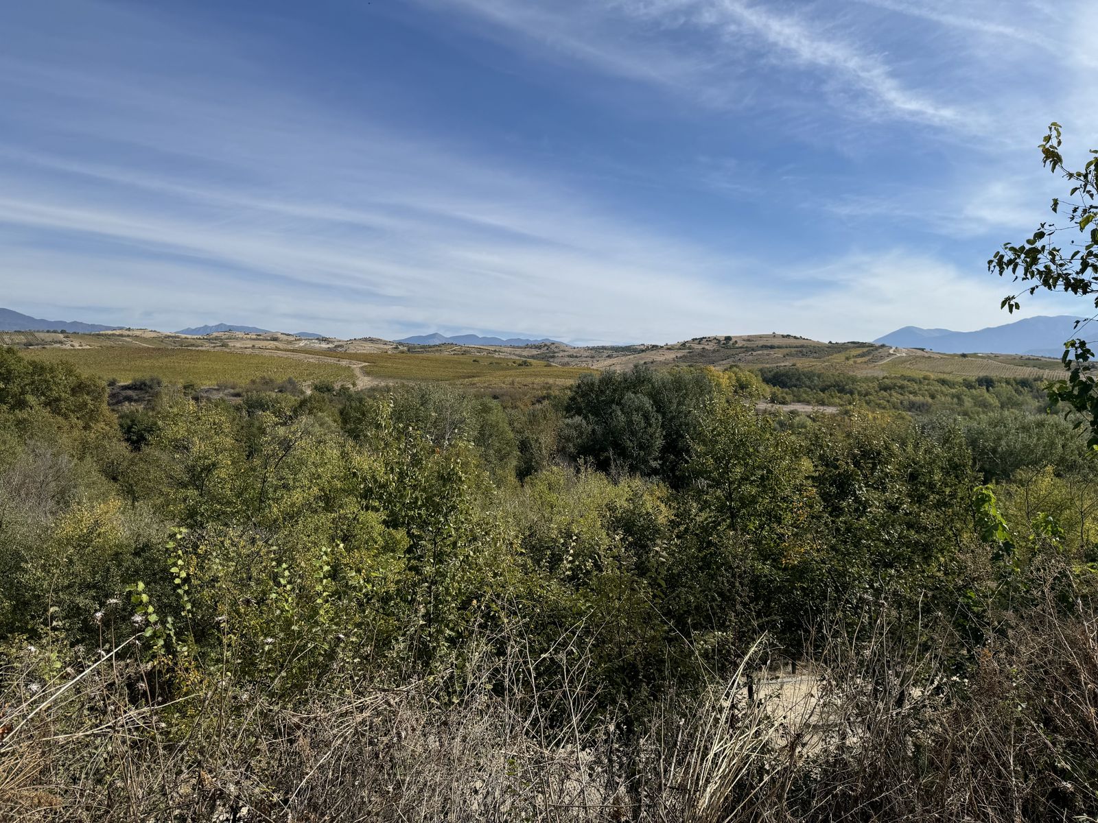 Zornitza Family Estate - Big Family Villa (Hambar) - Photo 23