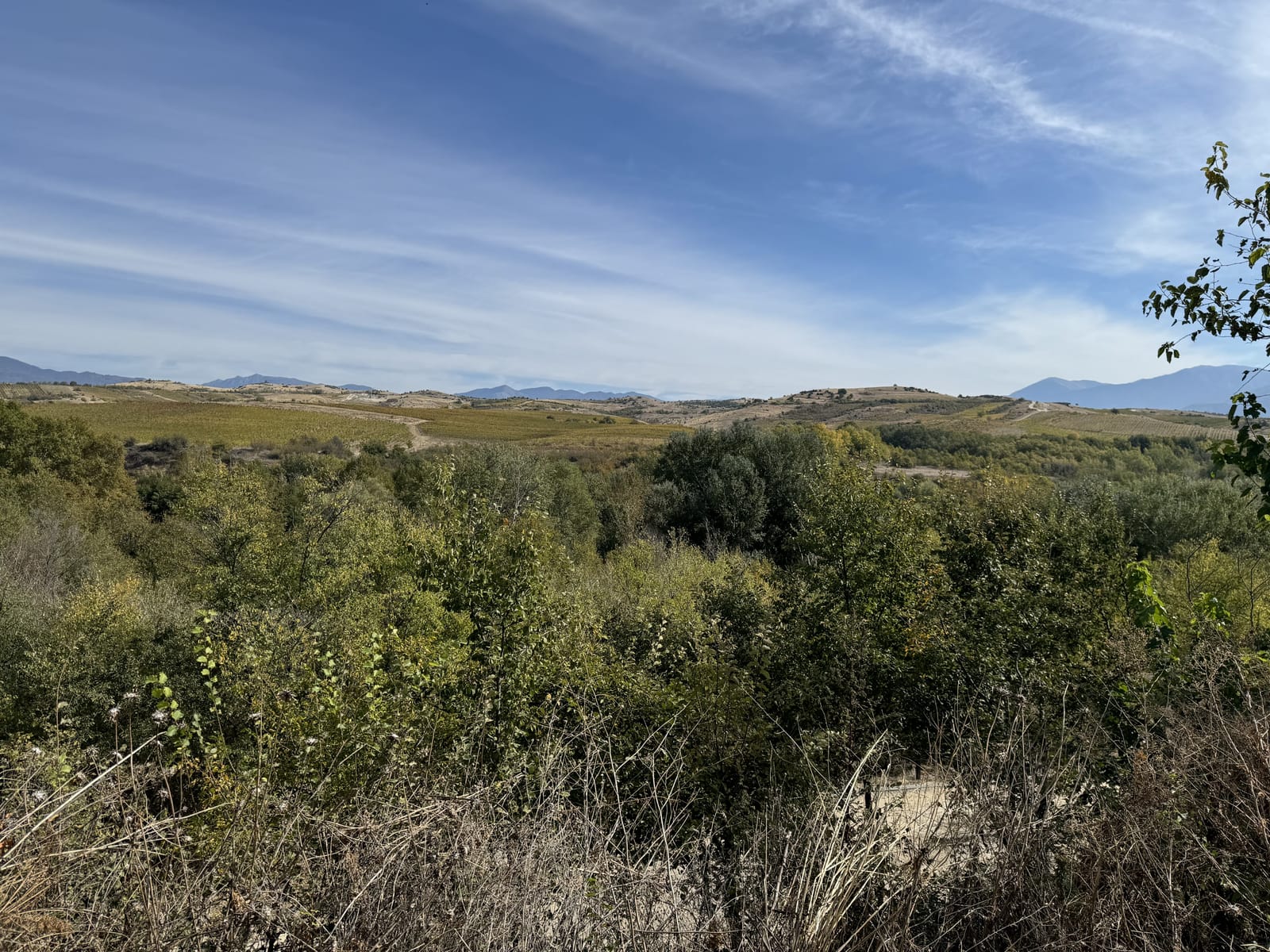 Zornitza Family Estate - Big Family Villa (Hambar) - Photo 23