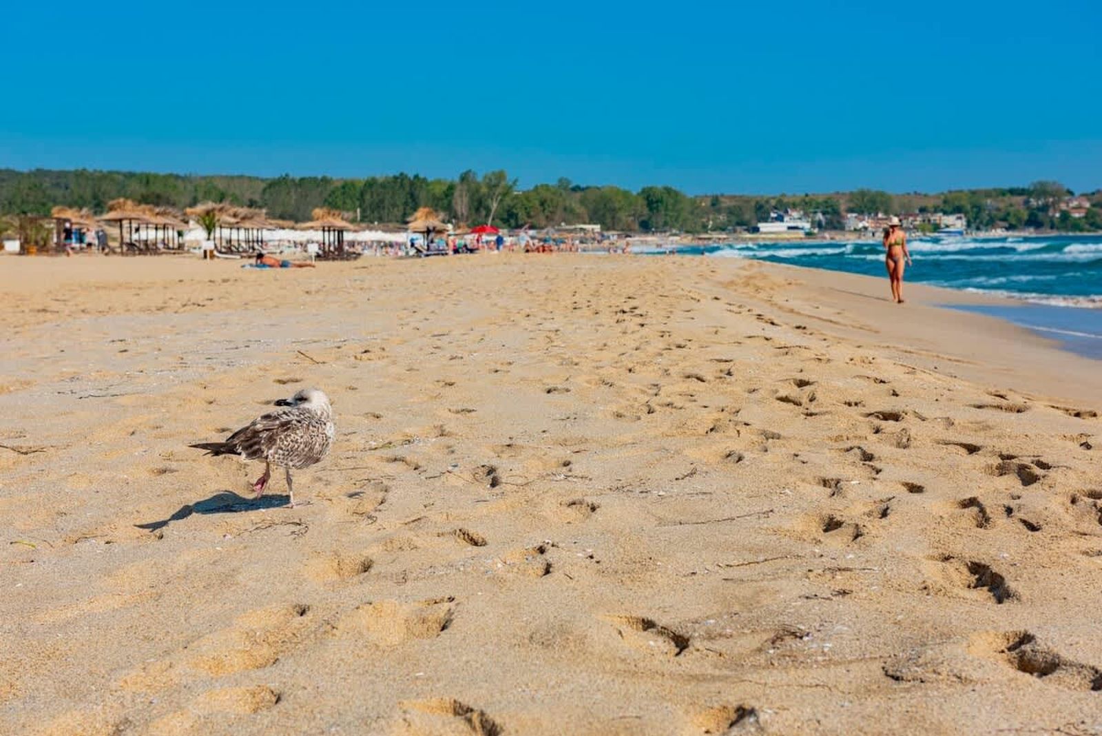 Cozy South Pearl  Comfortable studio for 4 person - Photo 8