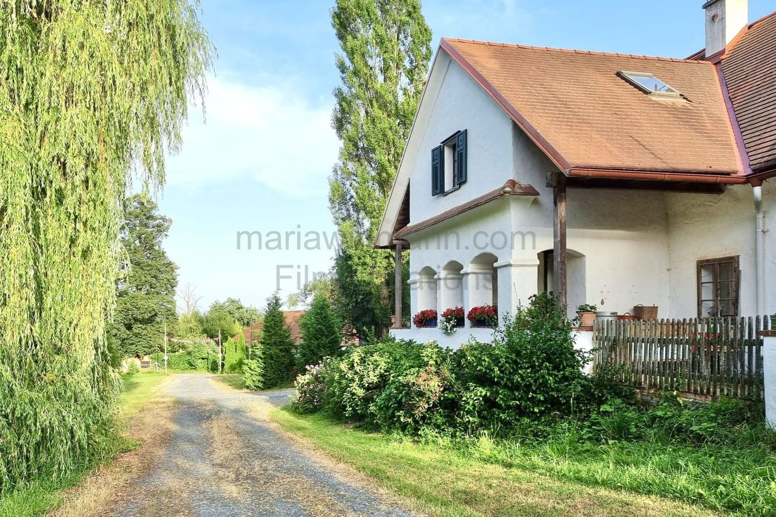 Location 260 - Photo 5