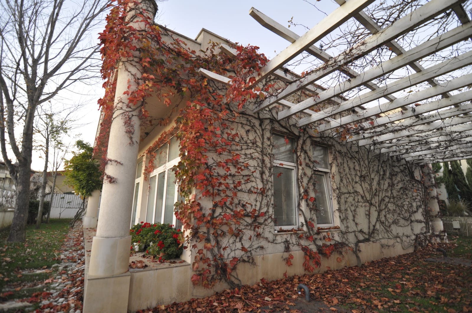 The Flower House - Cover Photo