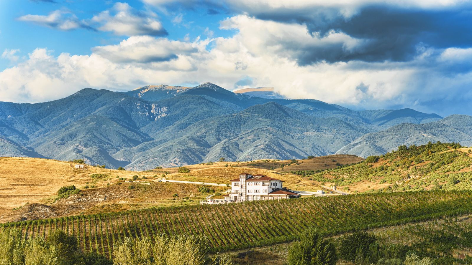 Villa Melnik - Cover Photo