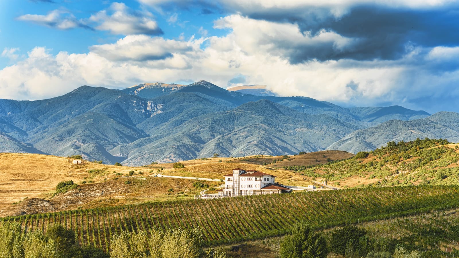 Villa Melnik - Cover Photo