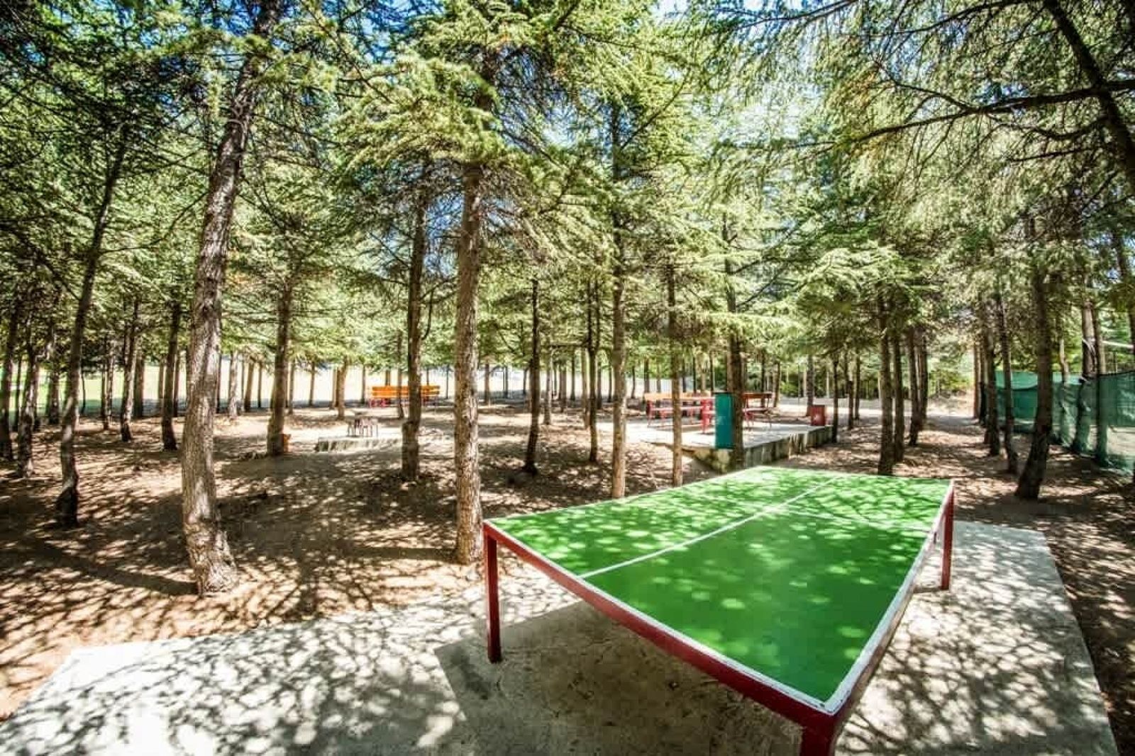 Crown Fort Nice Studio Sea View - Photo 21