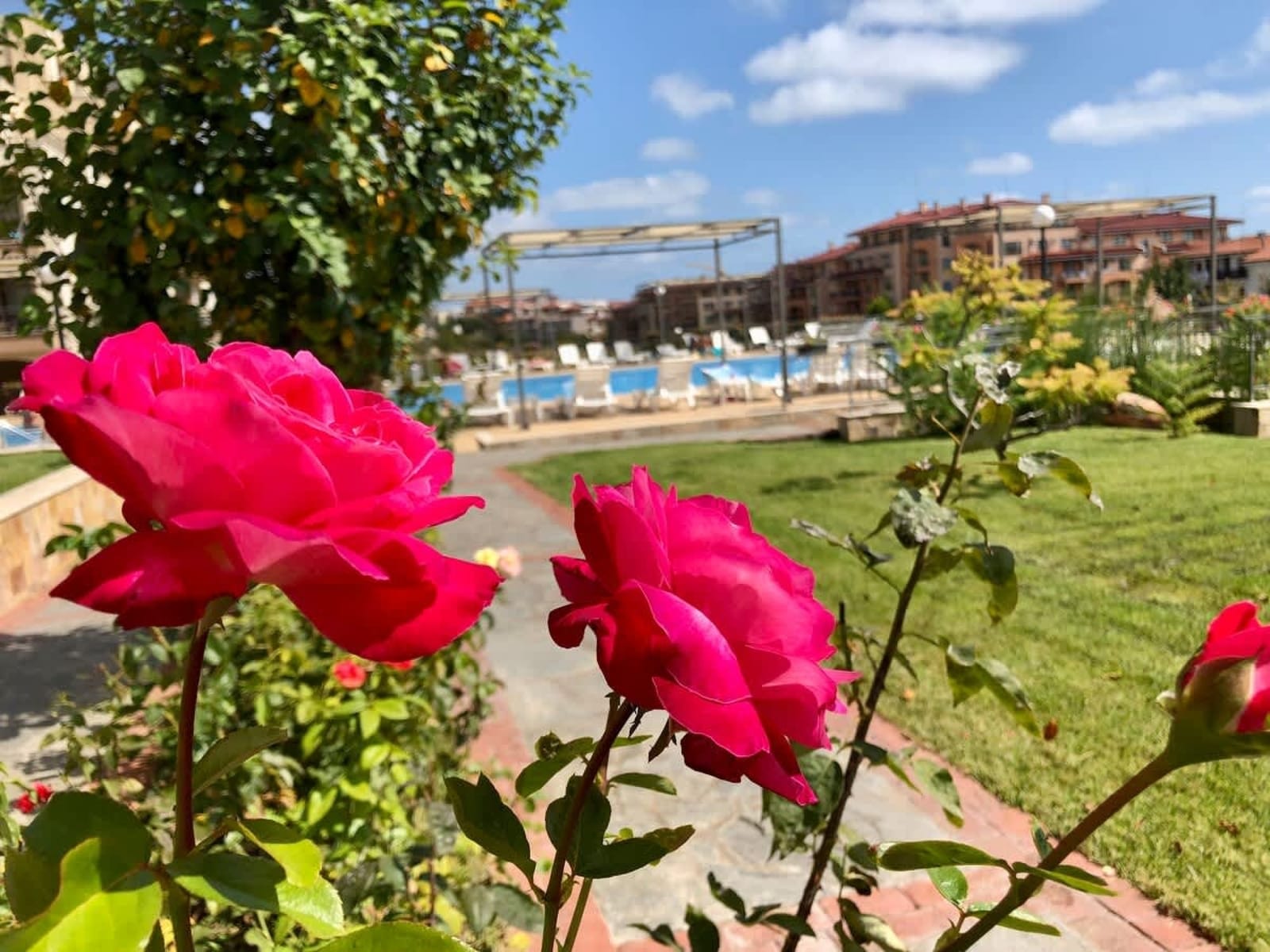 Sorrento Cozy Studio - Photo 35