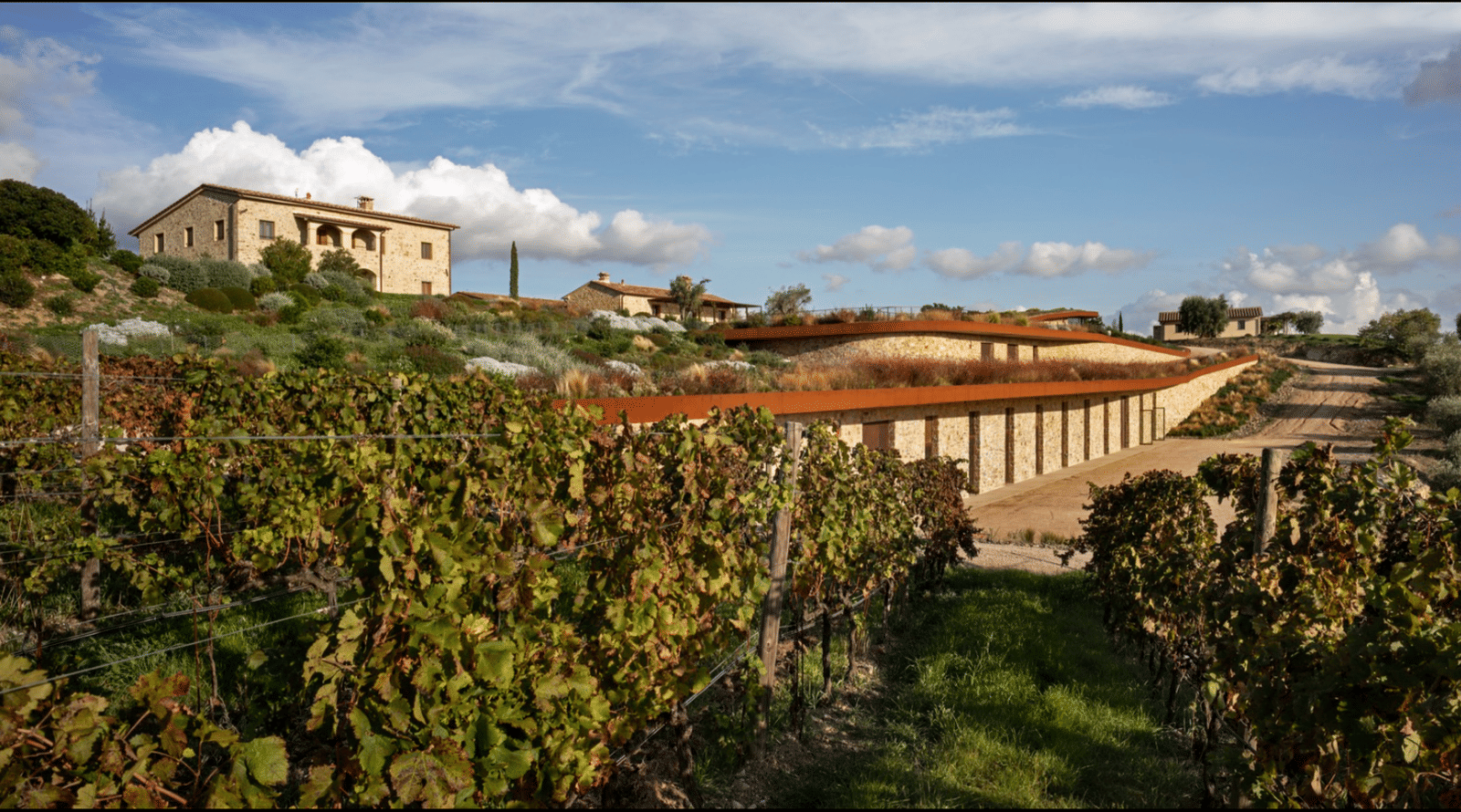 Il Quinto Winery - Photo 9