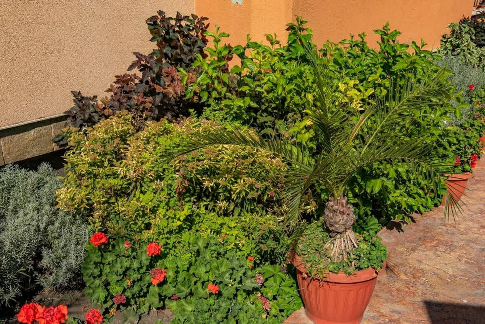 EFIR 2 - apartment for 4 adults - Photo 17