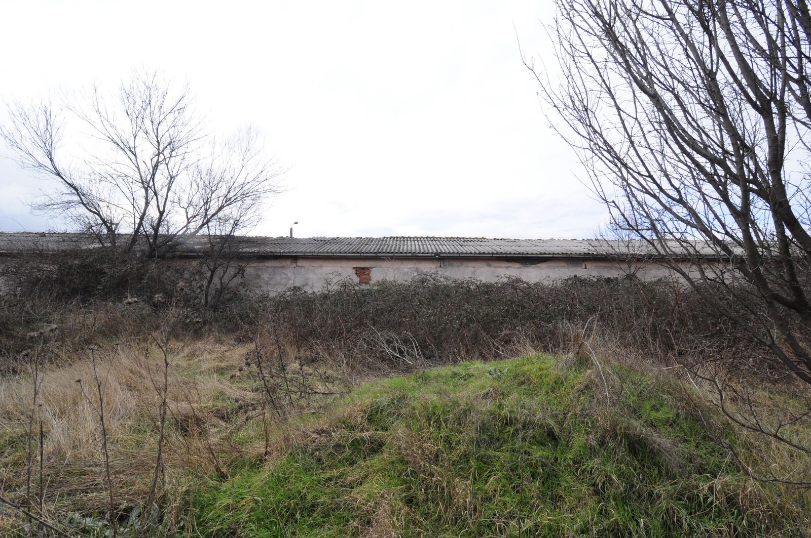 Industrial building - woodworking/carpentry shop, old cow barns - former collective farm from the socialist regime - Photo 60