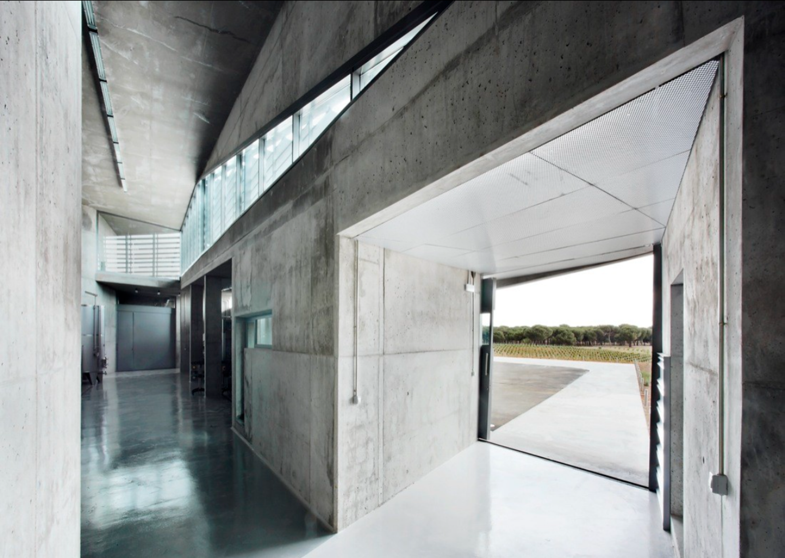 Qumran Winery - Photo 5