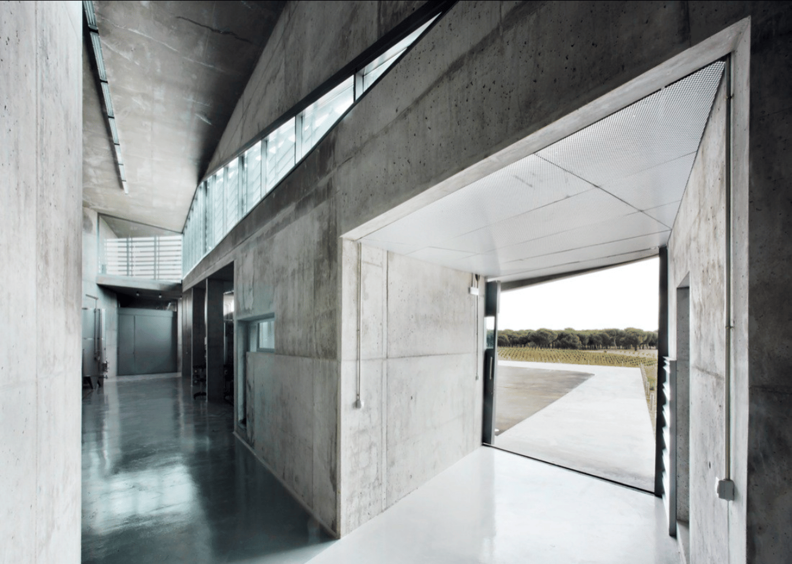 Qumran Winery - Photo 5