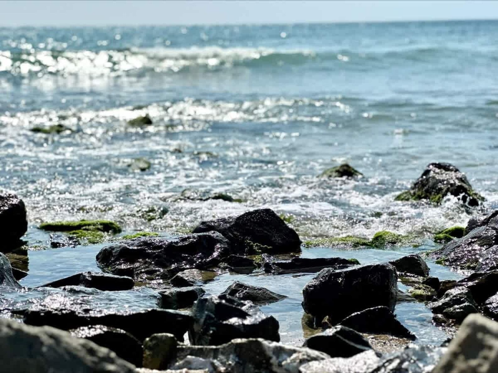 Cozy studio in Ipanema Beach - Photo 2