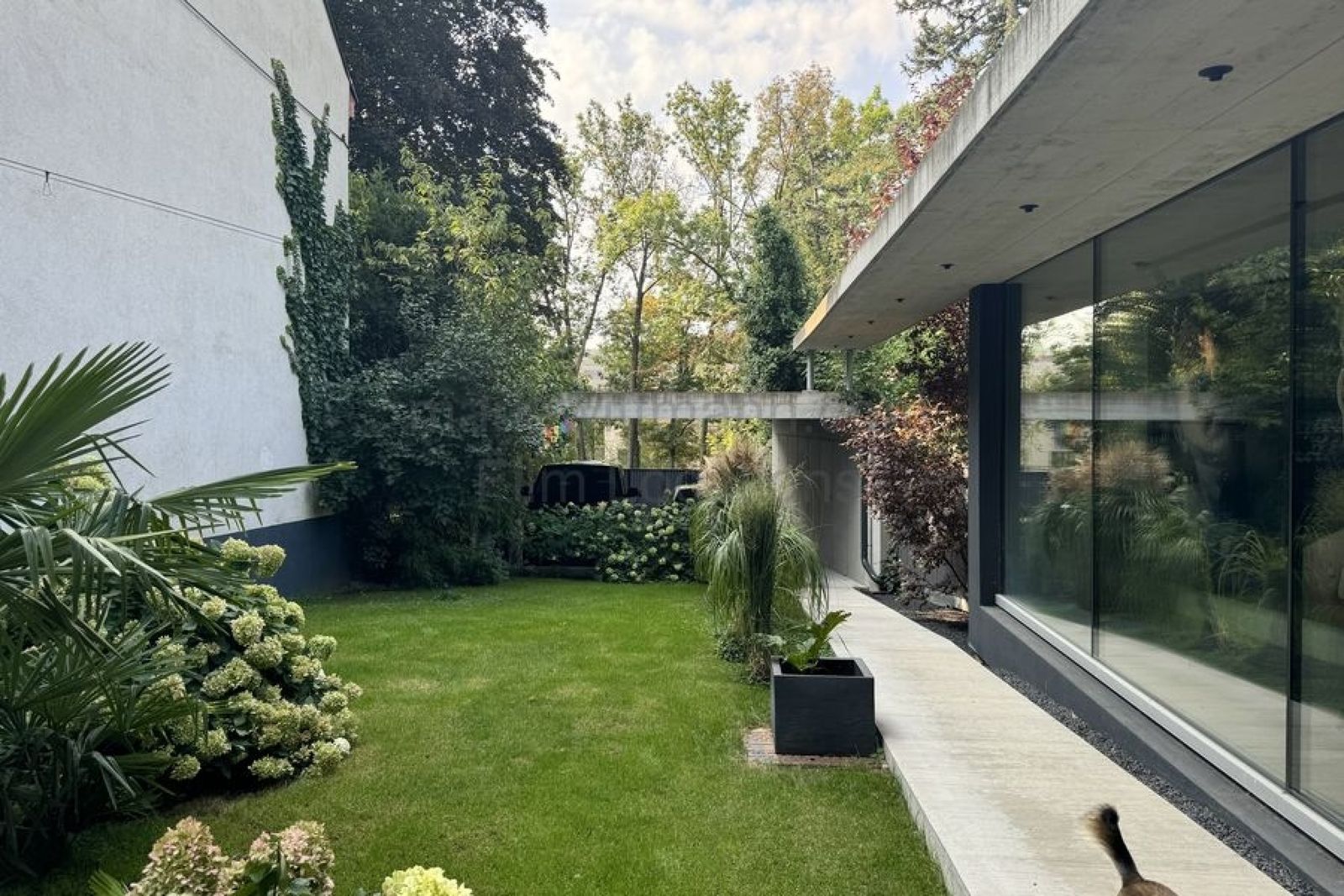 Location 271 - Photo 26