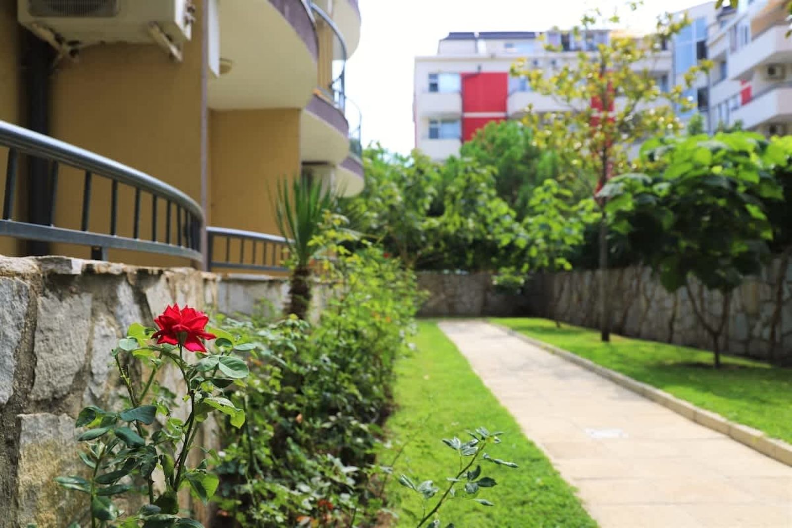 Cozy studio in Jasmine Club - Photo 23