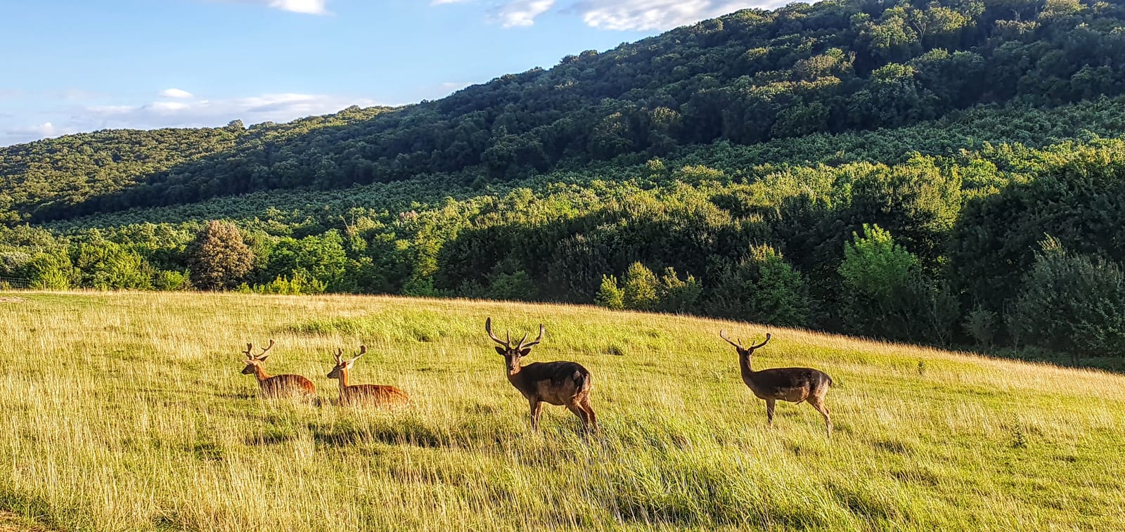 20 hectare traditional ranch - Photo 10