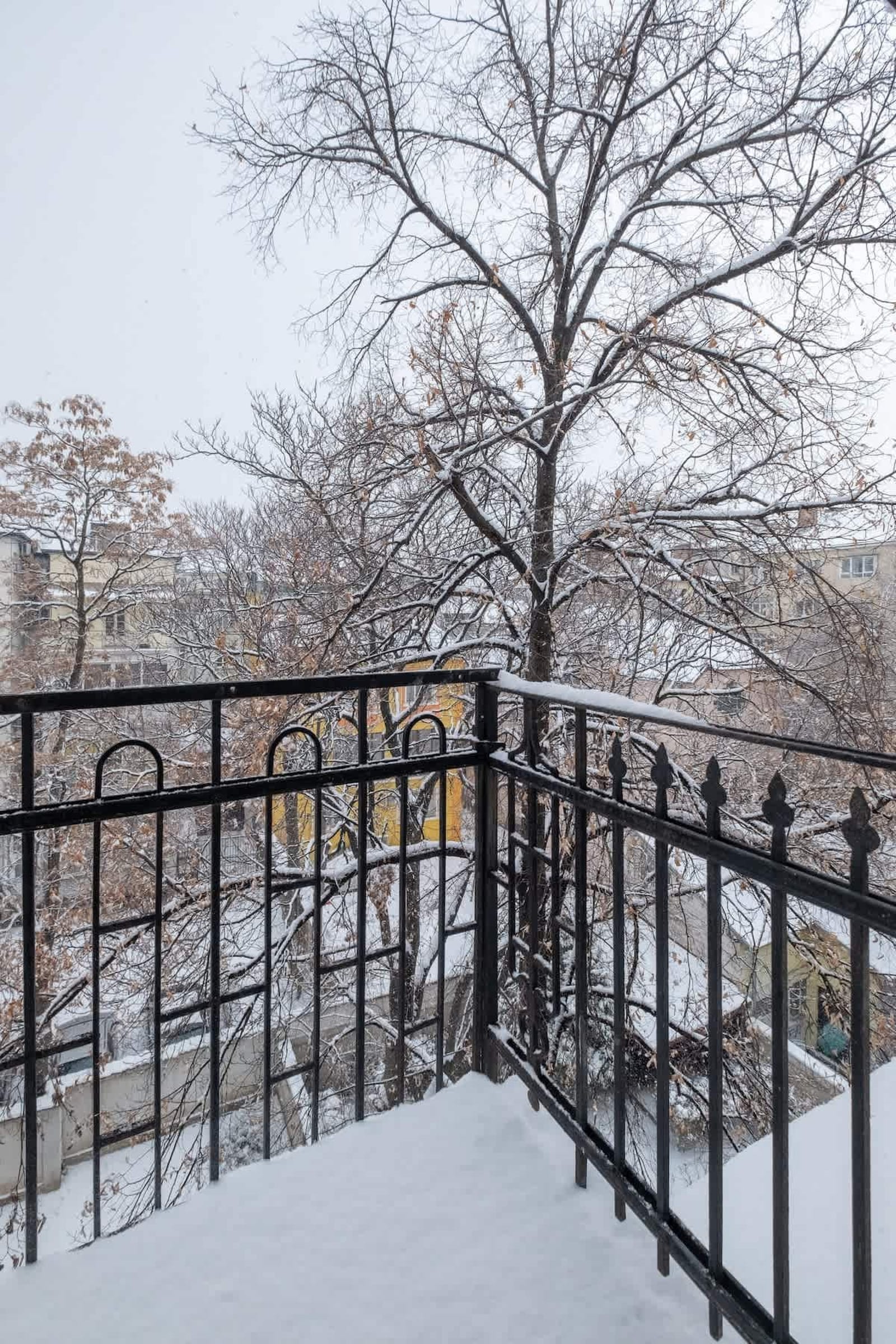 LZ Spacious One Bedroom Apartment in Top Centre - Photo 30