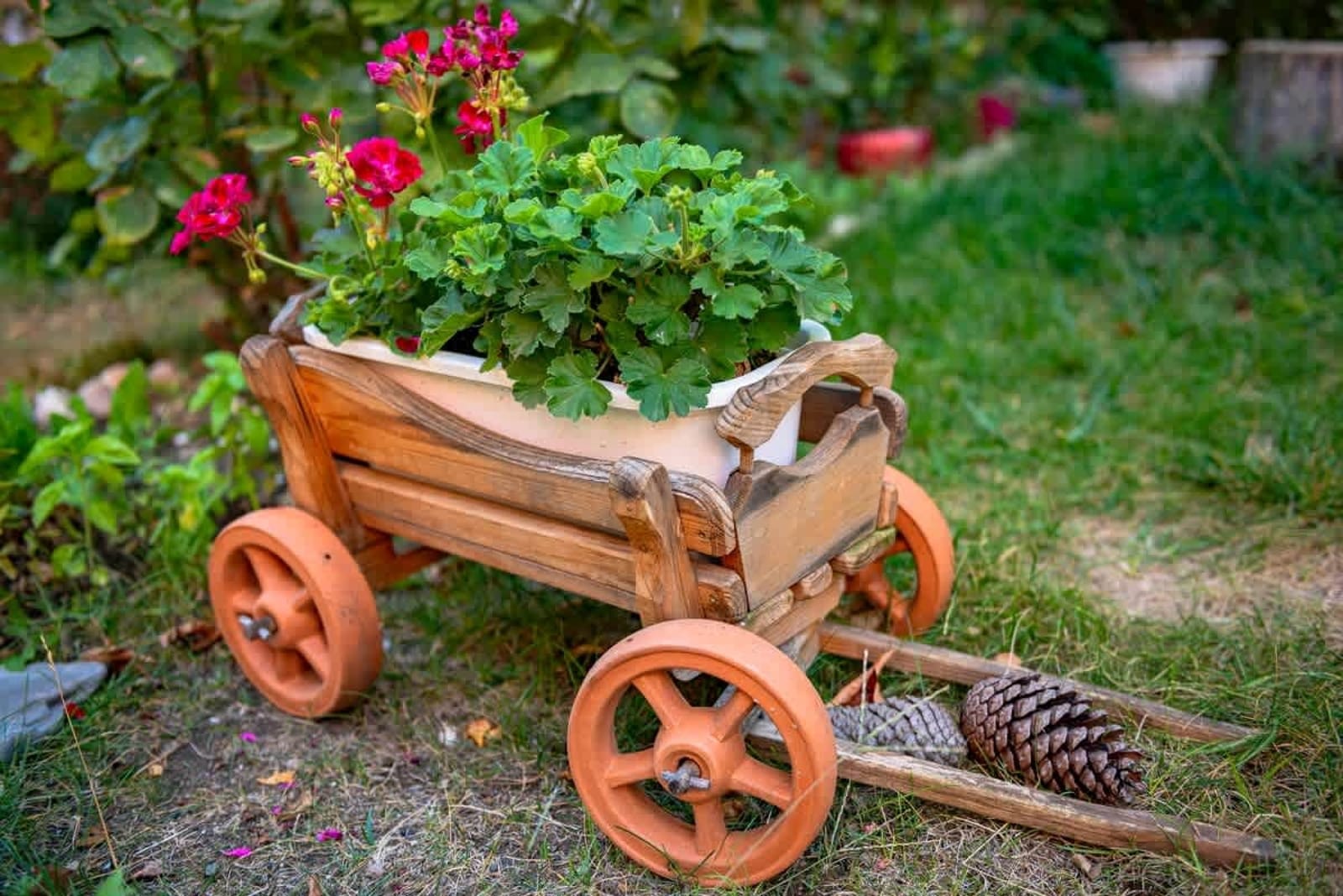 Sunny Day 6 Modern Studio - Photo 11