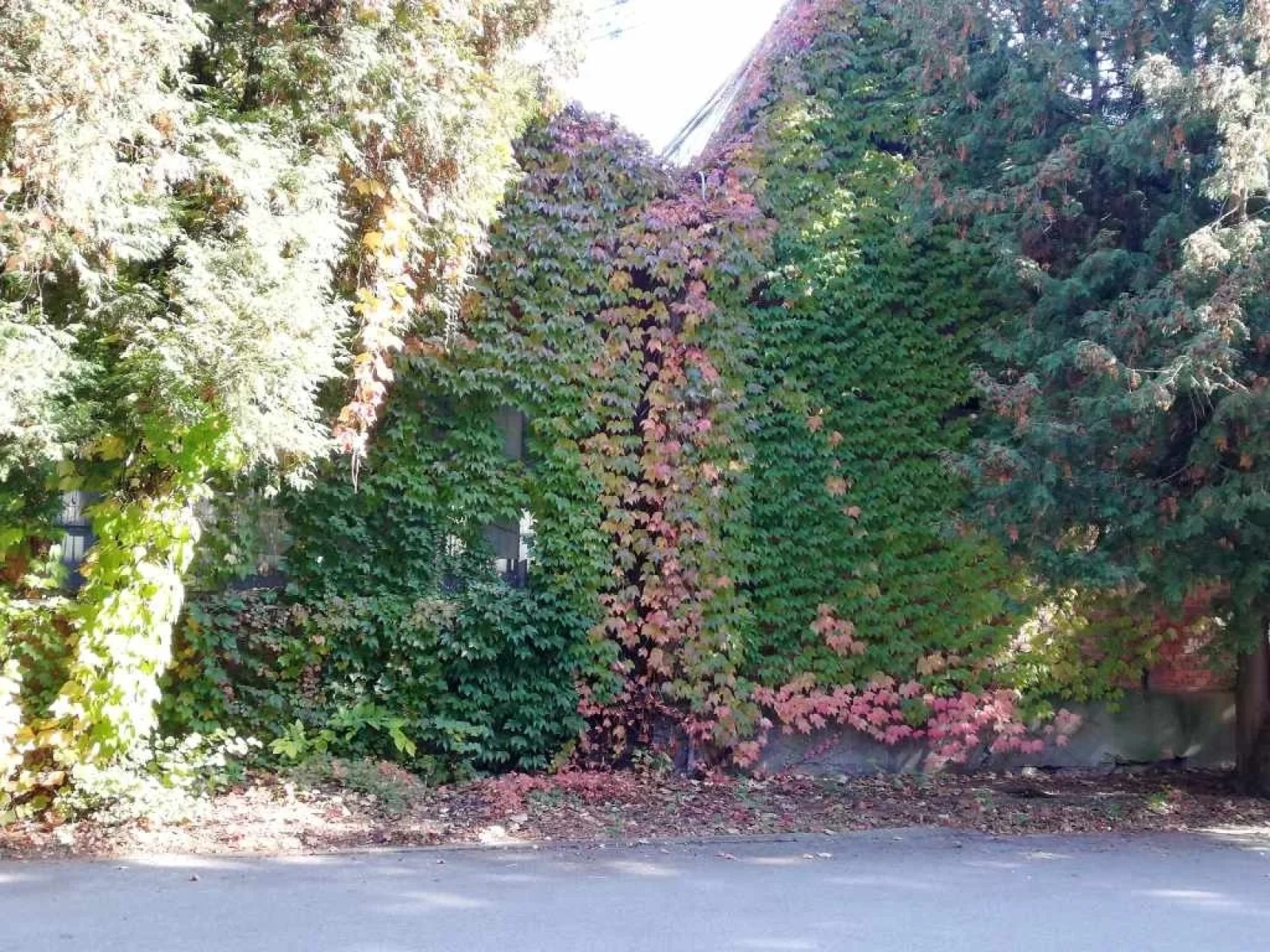 Beautiful Abandoned Factory - Photo 5