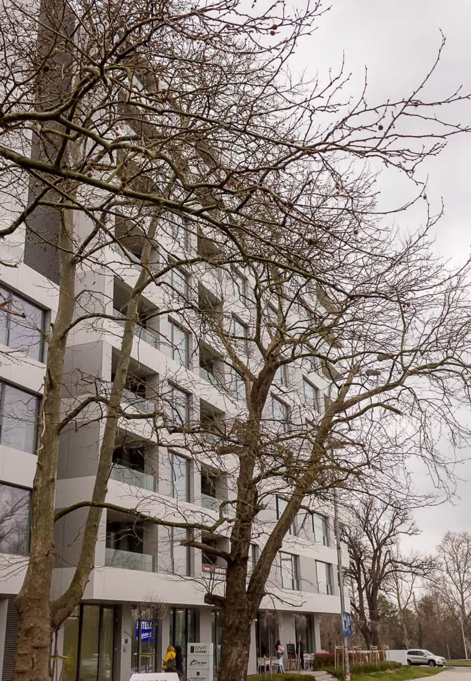 New Black &amp; White Flat 5 Min Away From Sea Garden - Photo 5