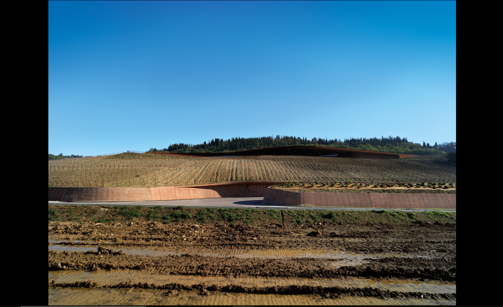 Antinori Winery - Photo 5