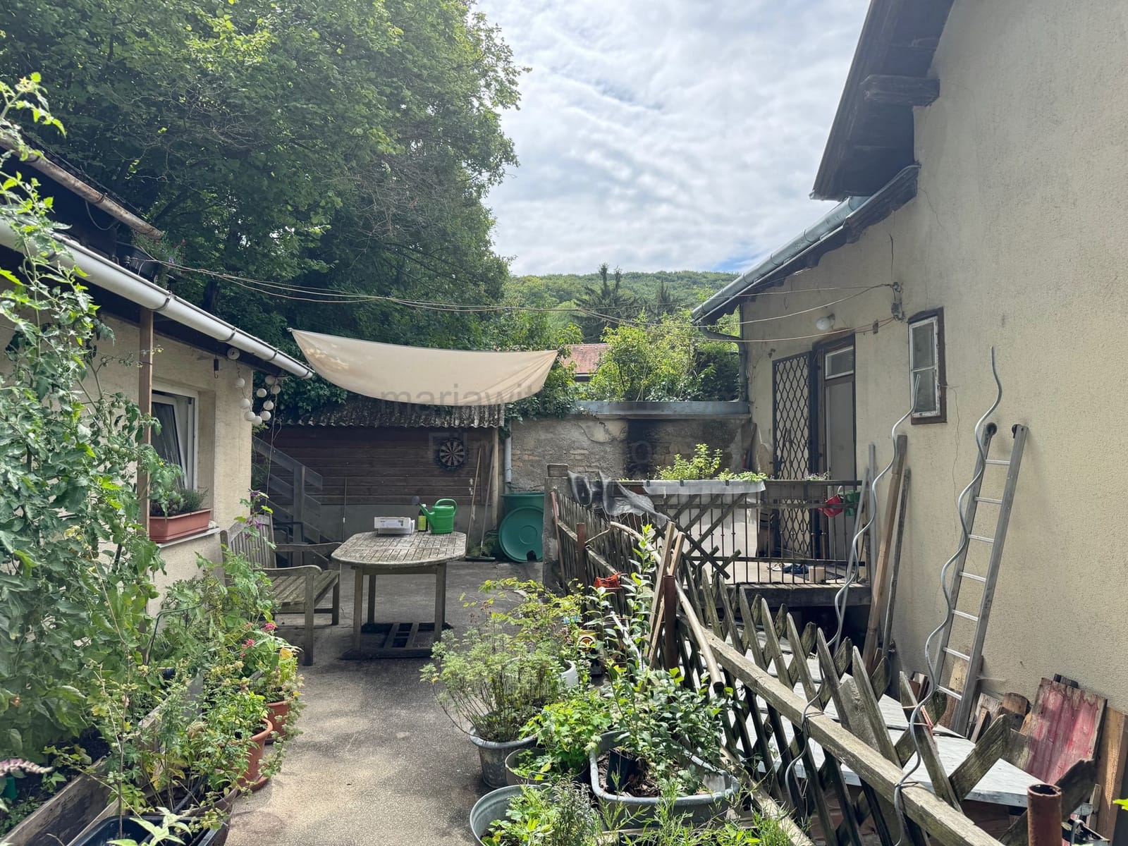 Location 503 - Photo 17