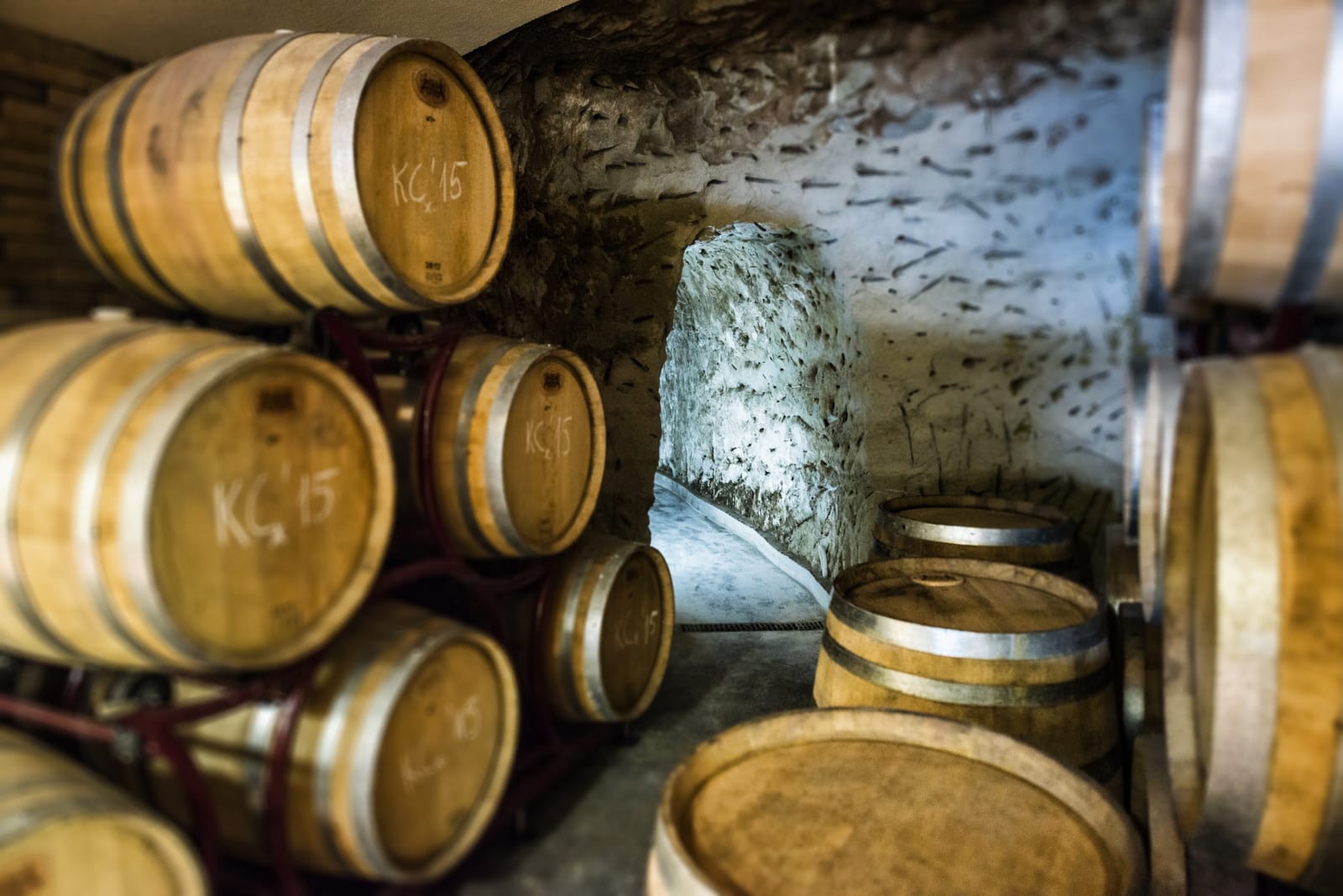 Villa Melnik - Photo 6