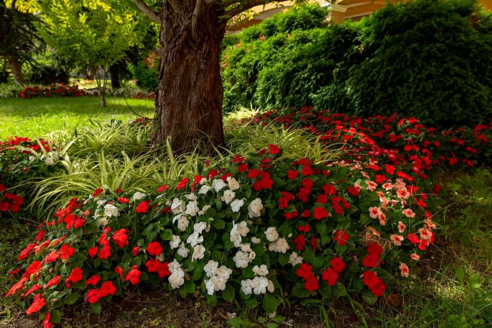 Cozy Aheloy  Superior studio, sea view - Photo 17