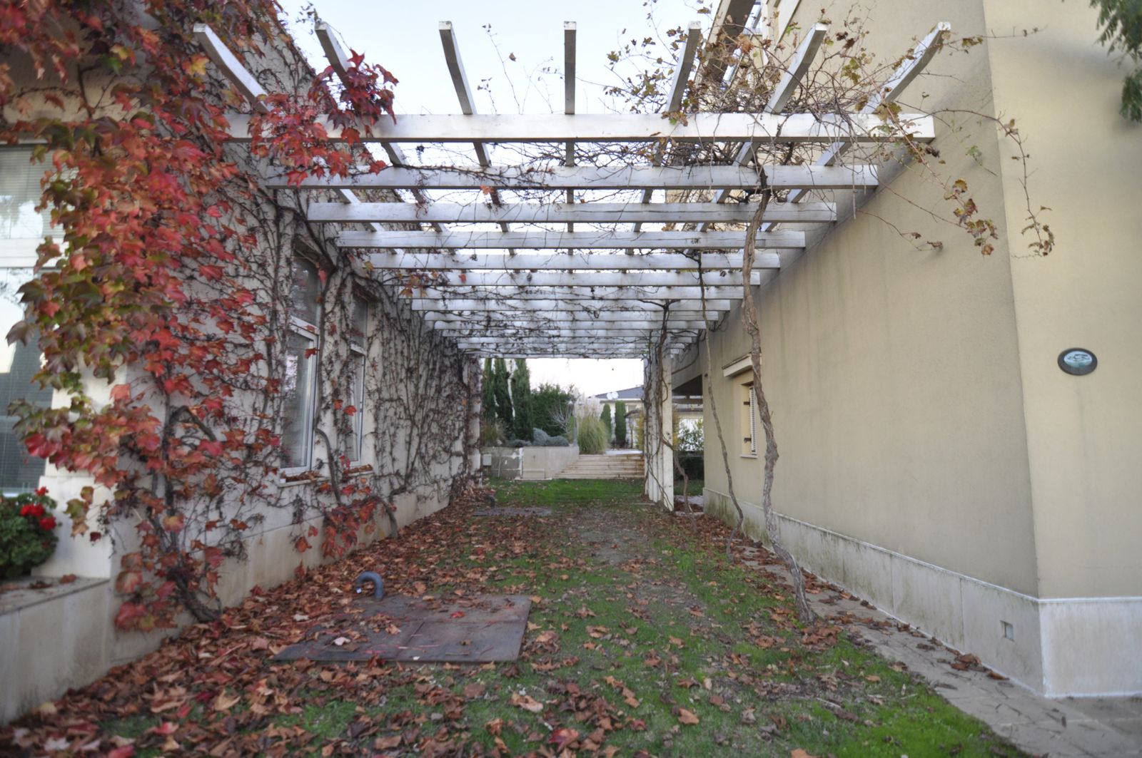 The Flower House - Photo 3