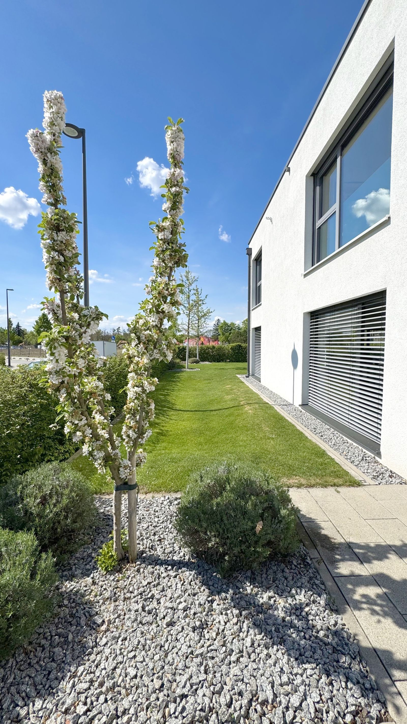 Business and residential in Mannheim - Photo 30