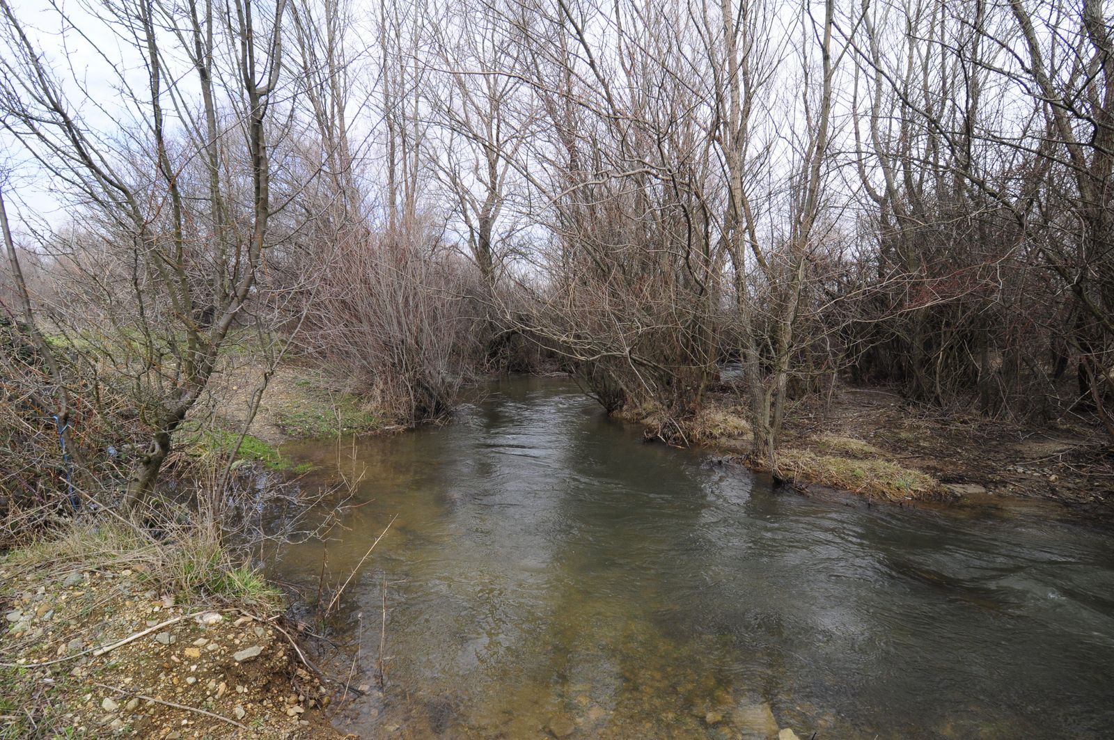 Industrial building - woodworking/carpentry shop, old cow barns - former collective farm from the socialist regime - Photo 16