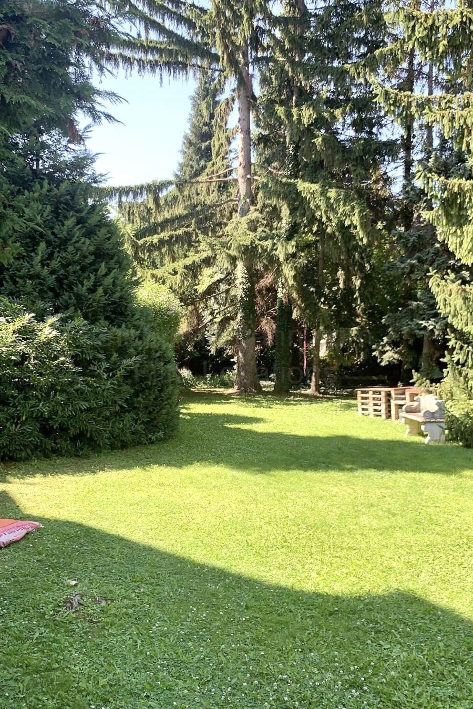 Location 241 - Photo 25