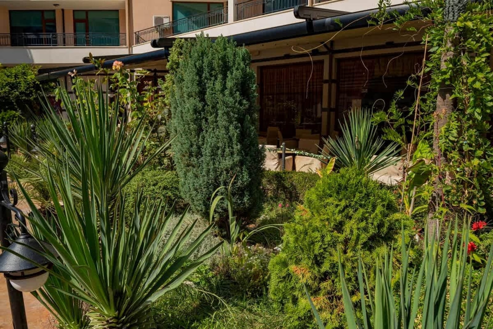 Cozy Karolina  Pool viev apartment - Photo 7