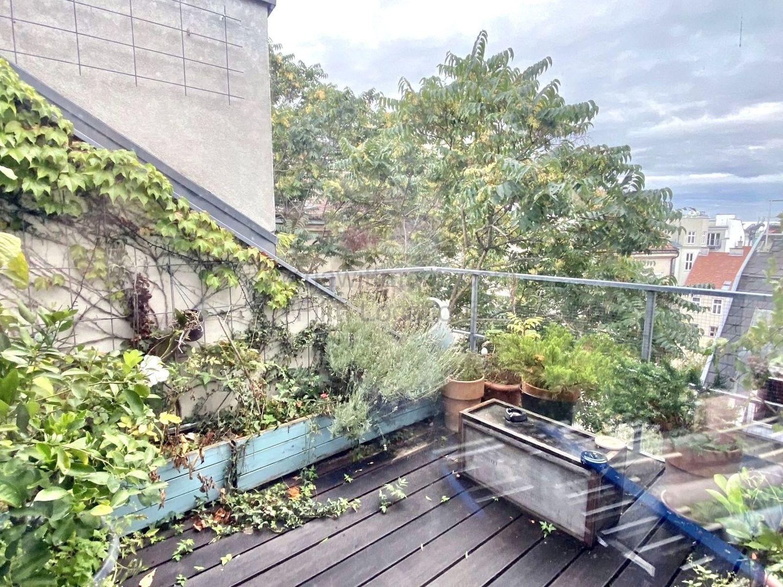 Location 123 - Photo 6