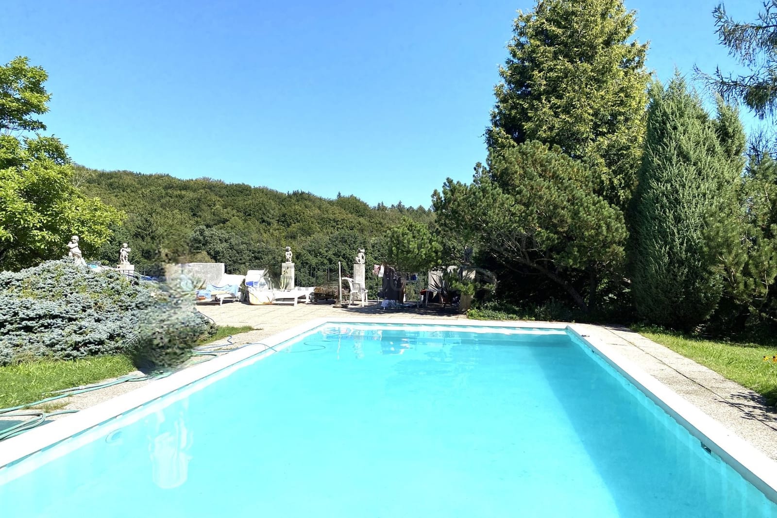 Location 263 - Photo 6