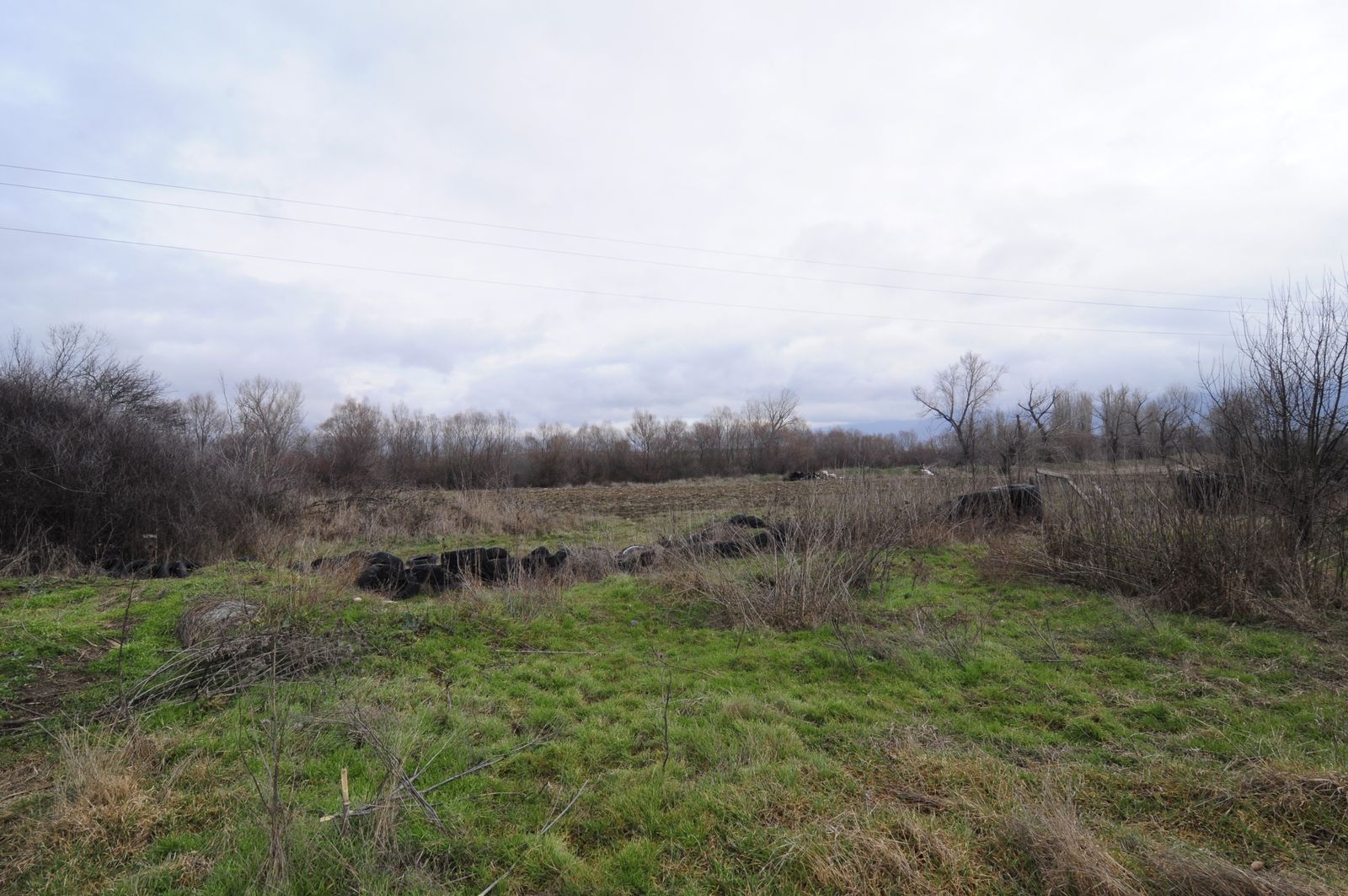 Industrial building - woodworking/carpentry shop, old cow barns - former collective farm from the socialist regime - Photo 66