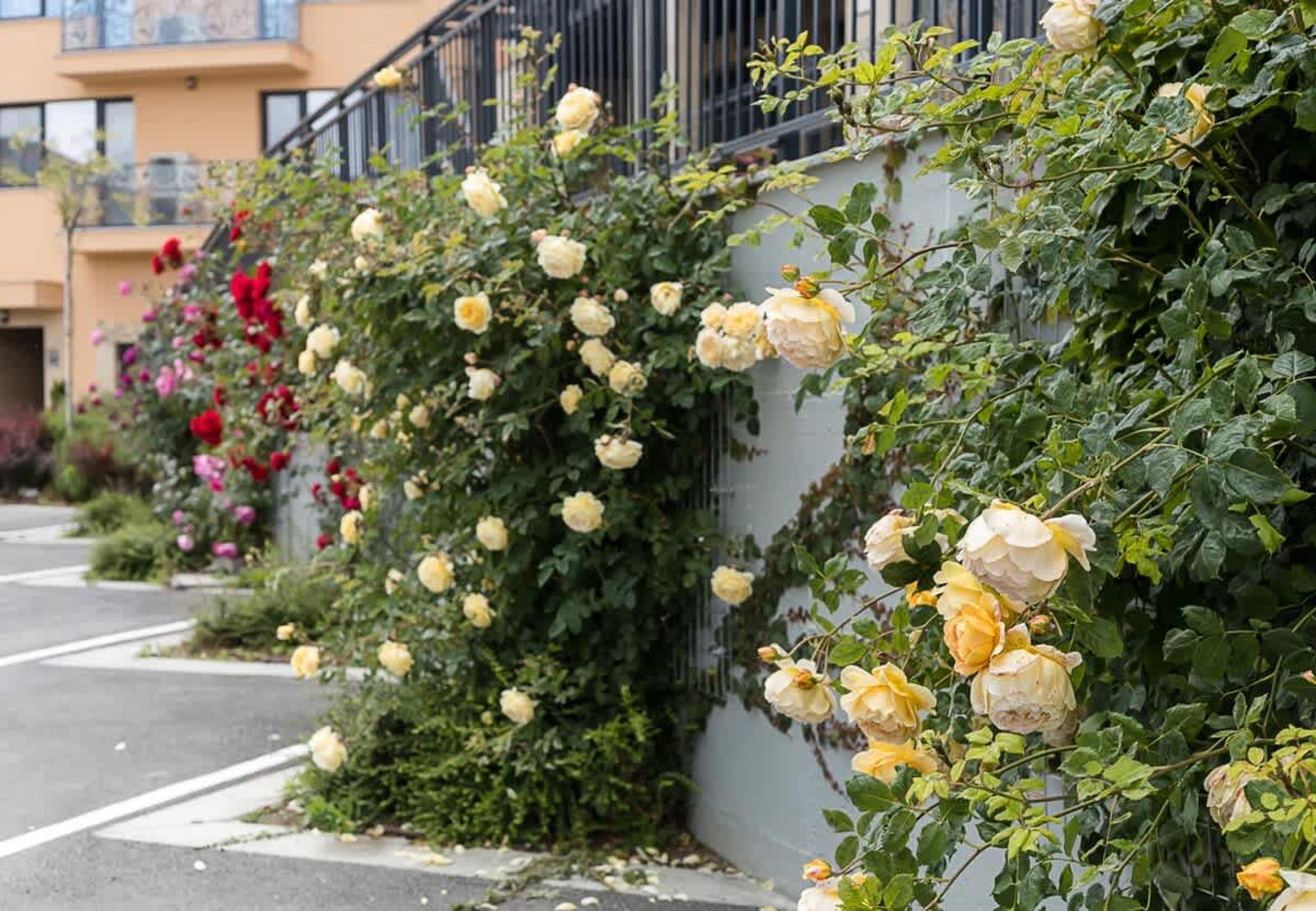 Stylish Studio with Balcony – Bella Vita, Varna - Photo 33