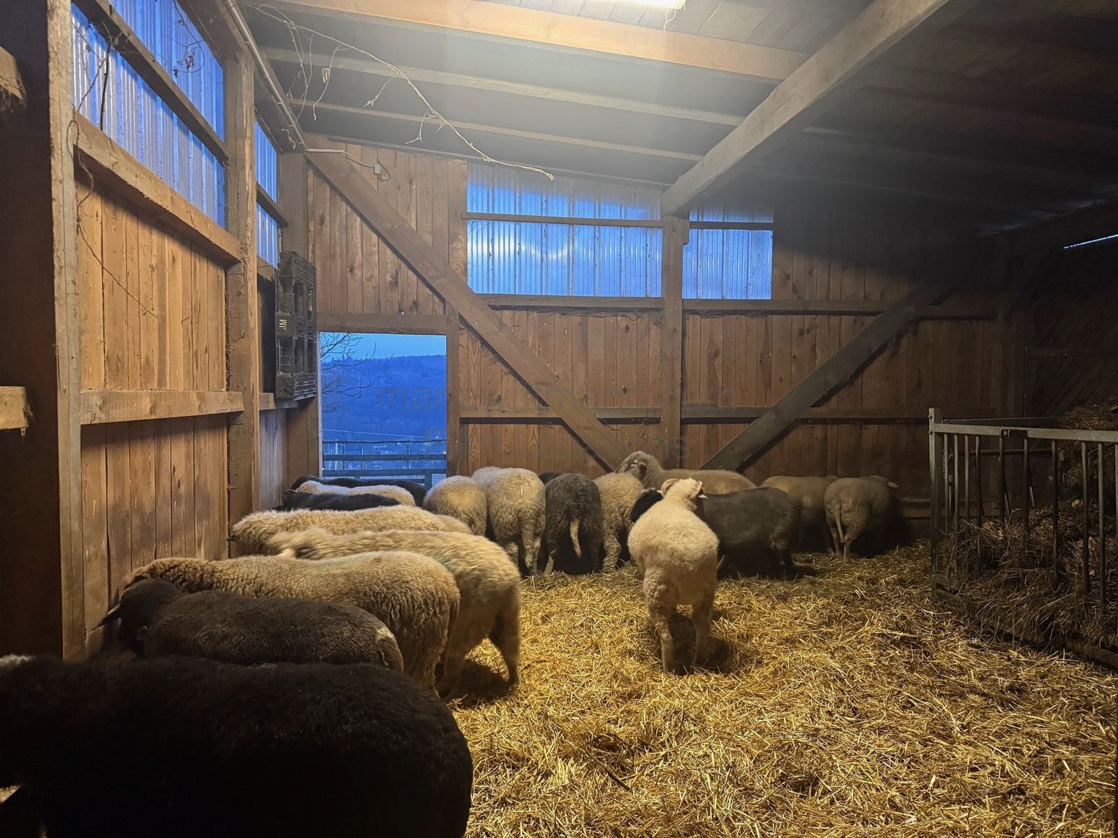 Location 483 - Photo 2