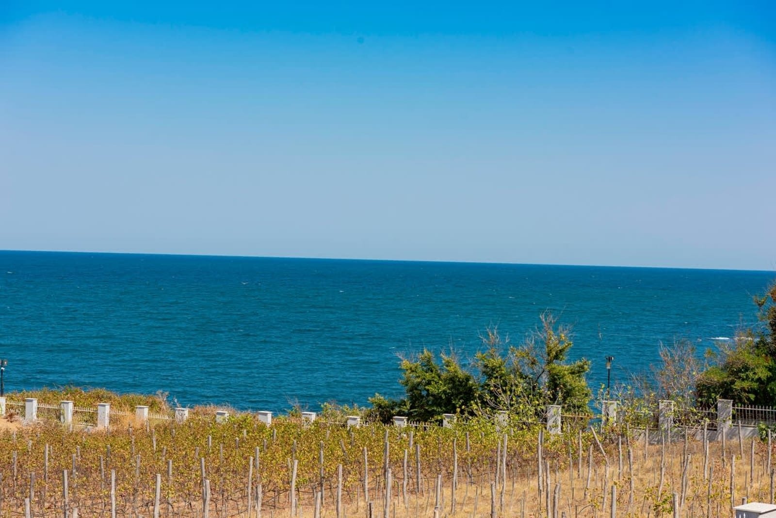 Family Apartment with Sea View in Apolon - Photo 7