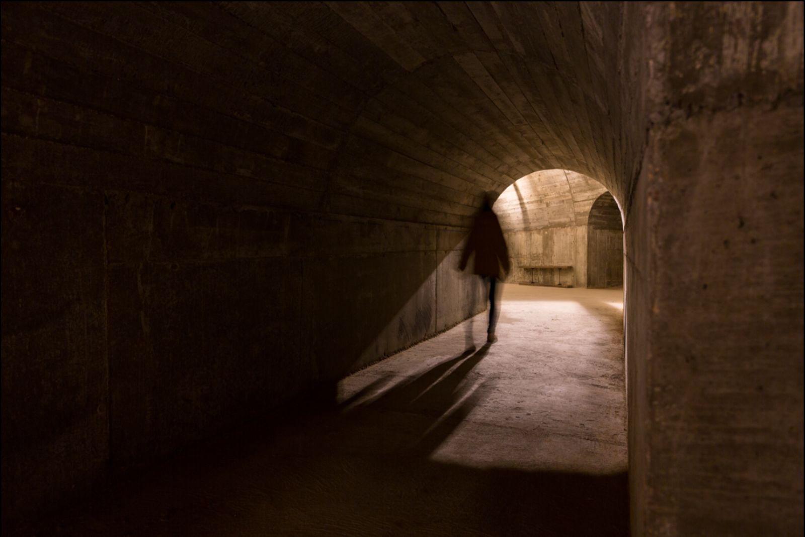 Dominio del Pidio Winery - Photo 2