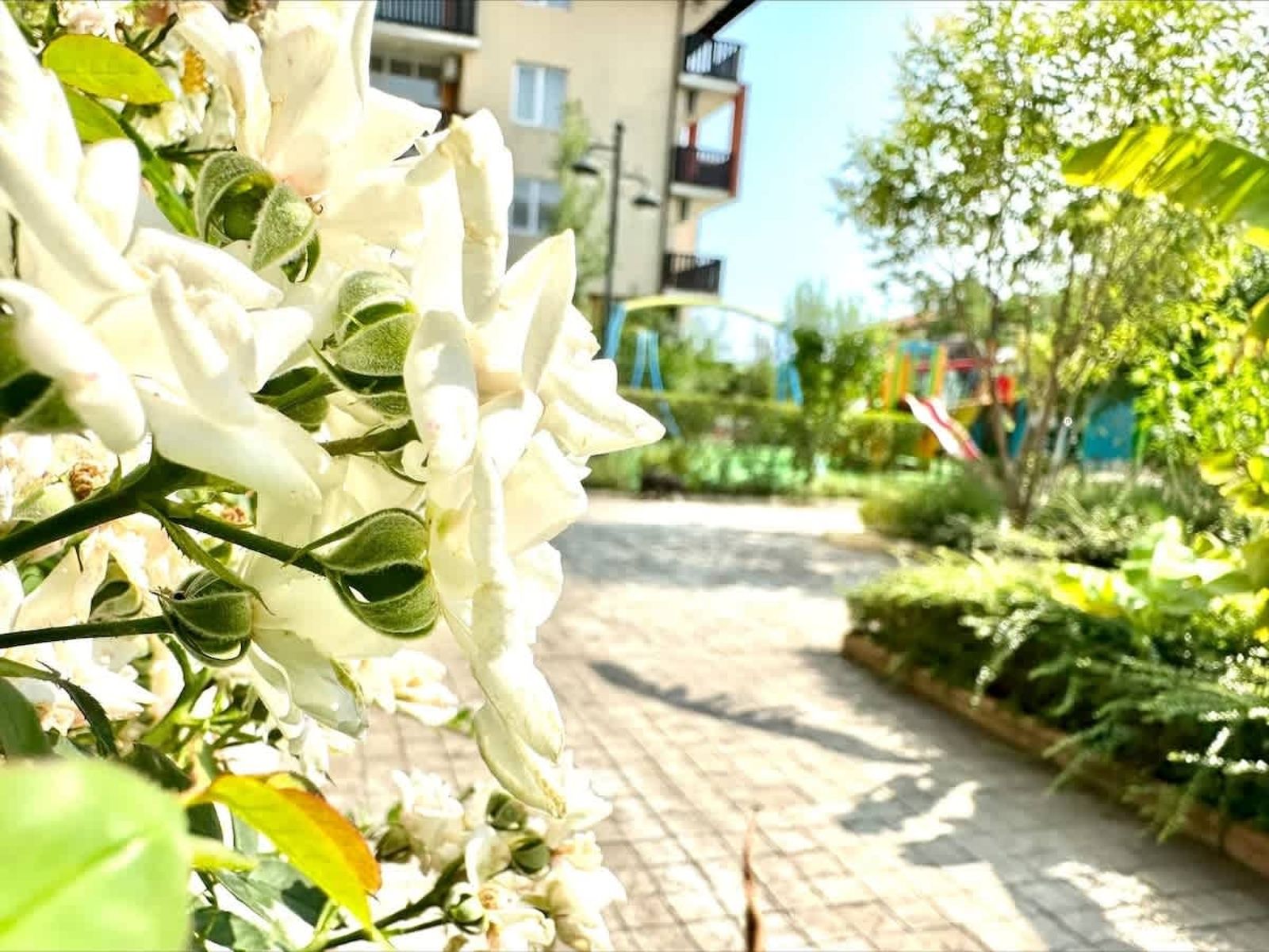 Cozy Chateu Aheloy 2  family studio - Photo 28