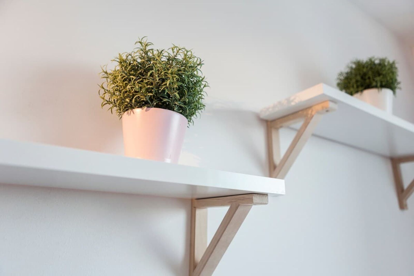 Tony's Sunny Rooftop Studio - Photo 16