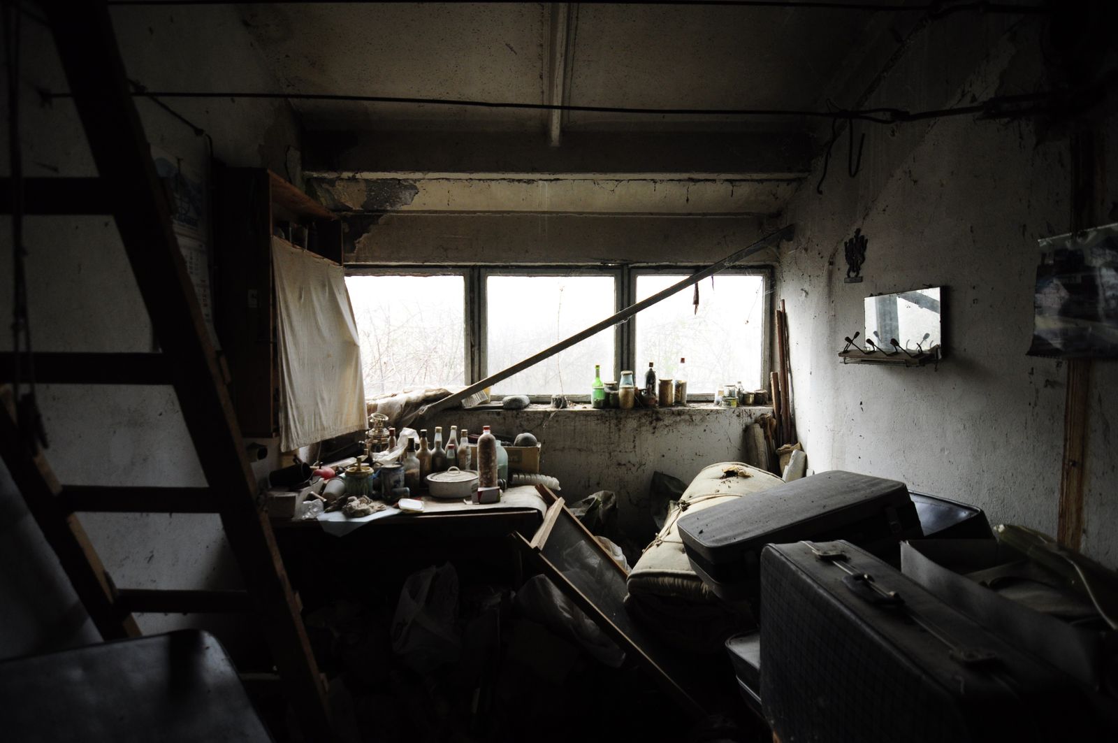 Industrial building - woodworking/carpentry shop, old cow barns - former collective farm from the socialist regime - Photo 28